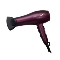 Professional Hair Dryer -2000W