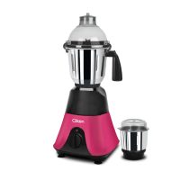 2 IN 1 Mixer Grinder 500W
