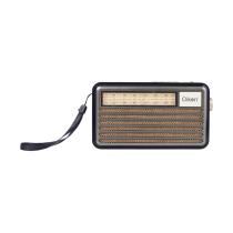 FM Radio With BT