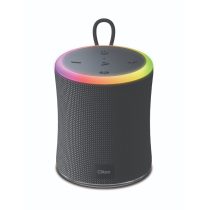 Portable BT Speaker